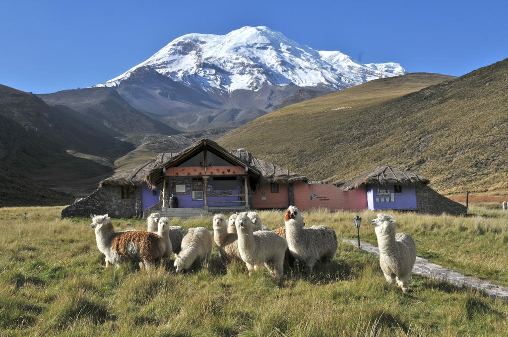 Chimborazo Lodge Екстериор снимка